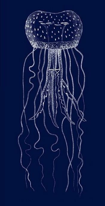 Jellyfish Canvas Paintings